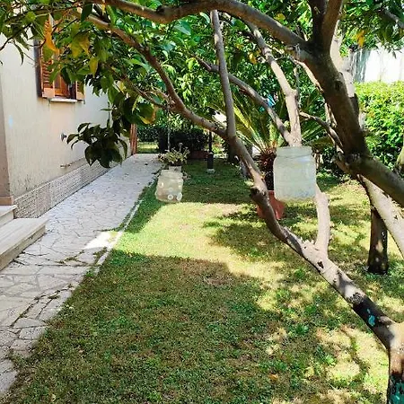 Apartmán Greenhouse_anzio Anzio